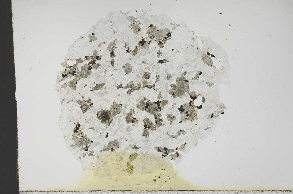 Plane Polarized, S18772