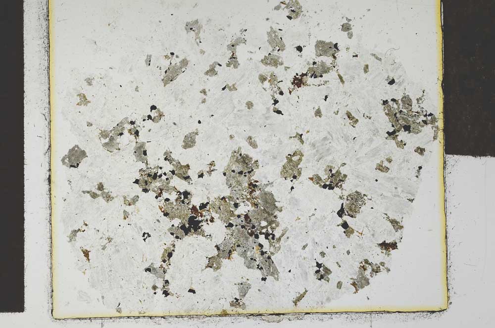 Plane Polarized, S18772/A