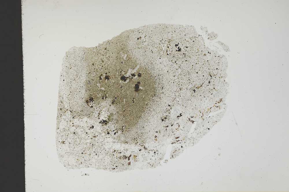 Plane Polarized, S18775