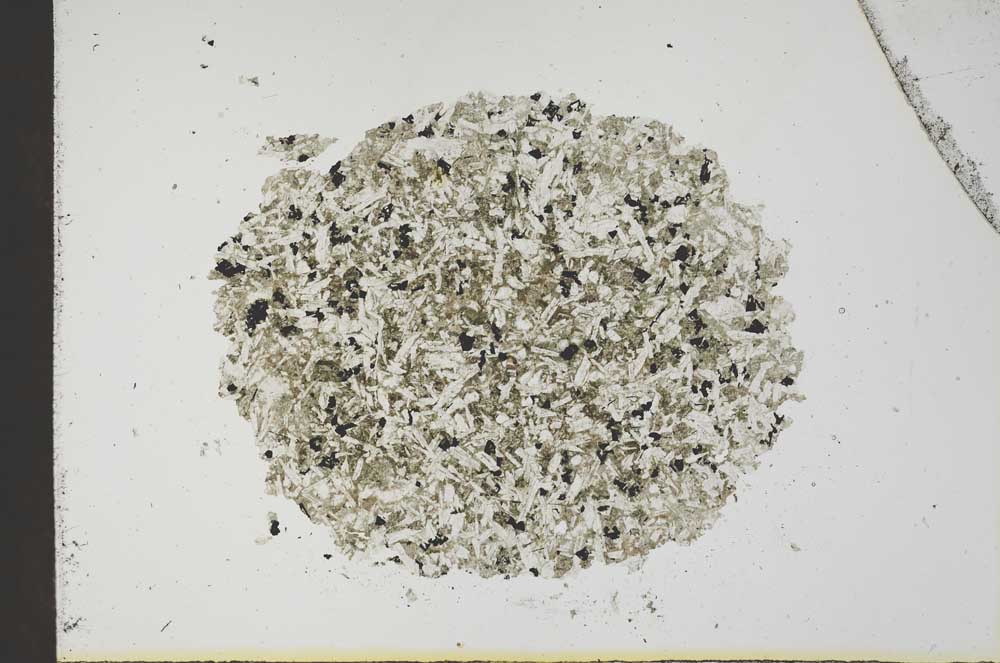 Plane Polarized, S18786