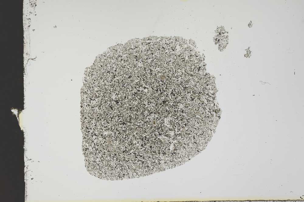 Plane Polarized, S18787