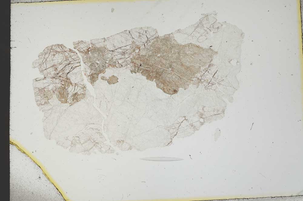 Plane Polarized, S18791