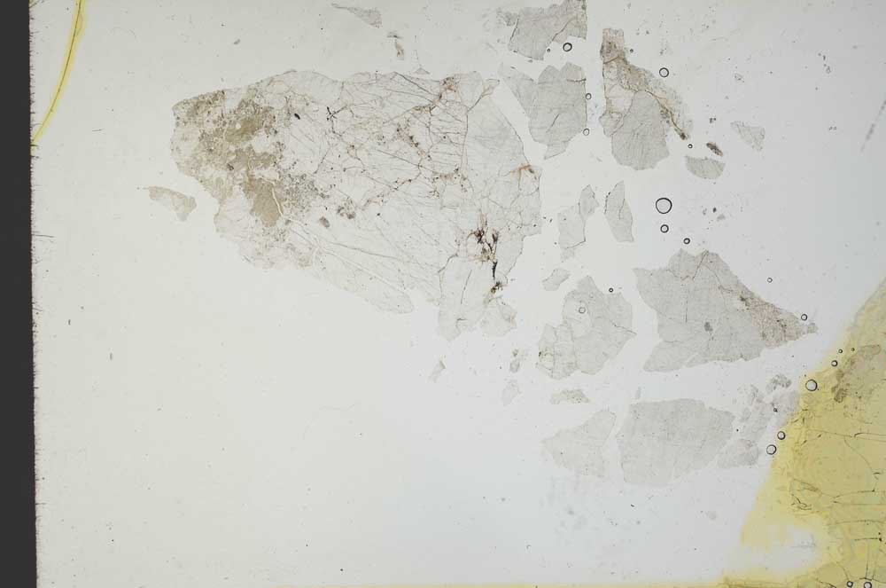 Plane Polarized, S18792