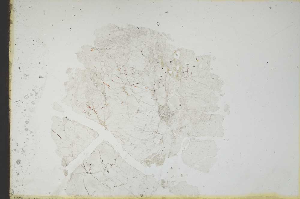 Plane Polarized, S18793