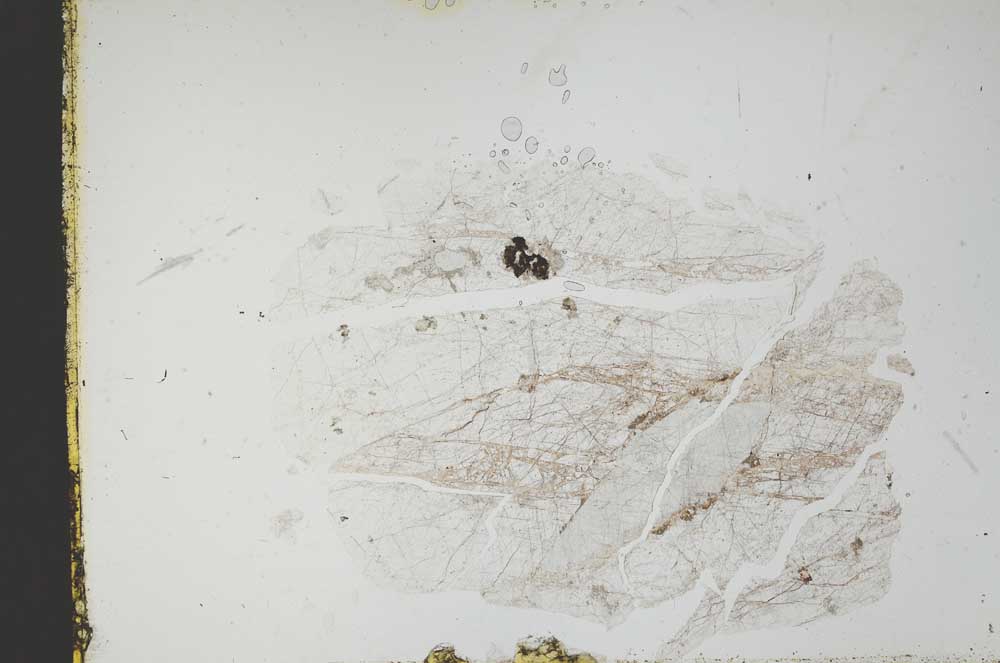 Plane Polarized, S18794