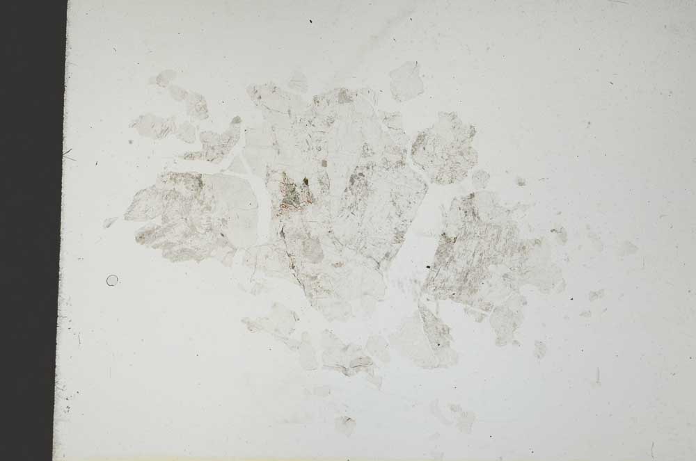 Plane Polarized, S18795