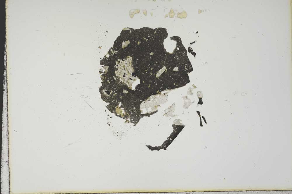 Plane Polarized, S18841