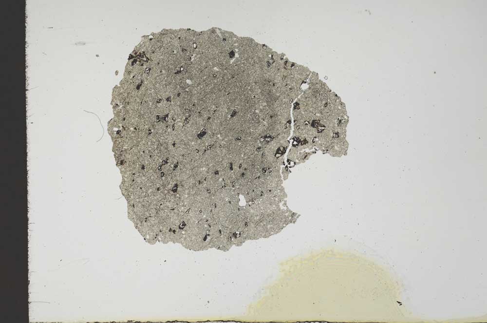 Plane Polarized, S18866