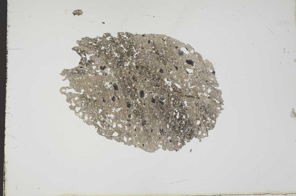 Plane Polarized, S18867