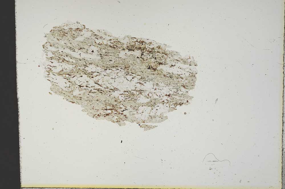 Plane Polarized, S18992
