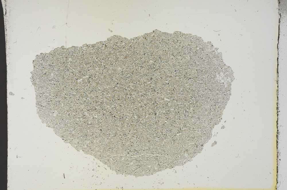 Plane Polarized, S19022