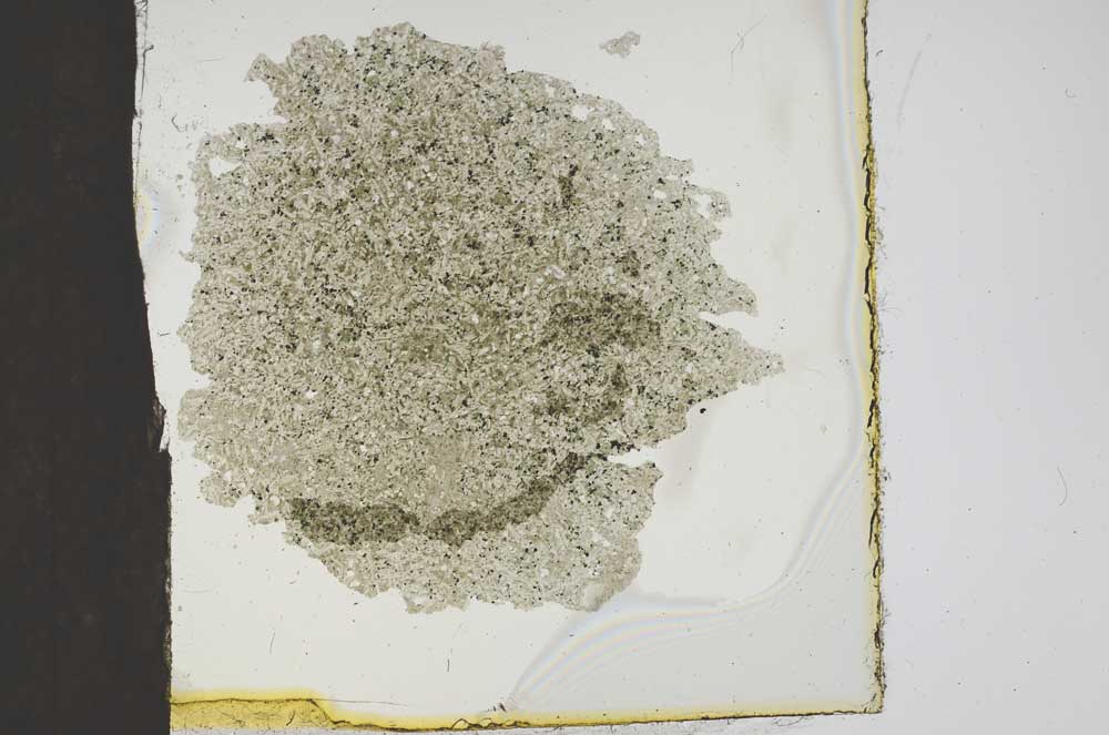 Plane Polarized, S19023