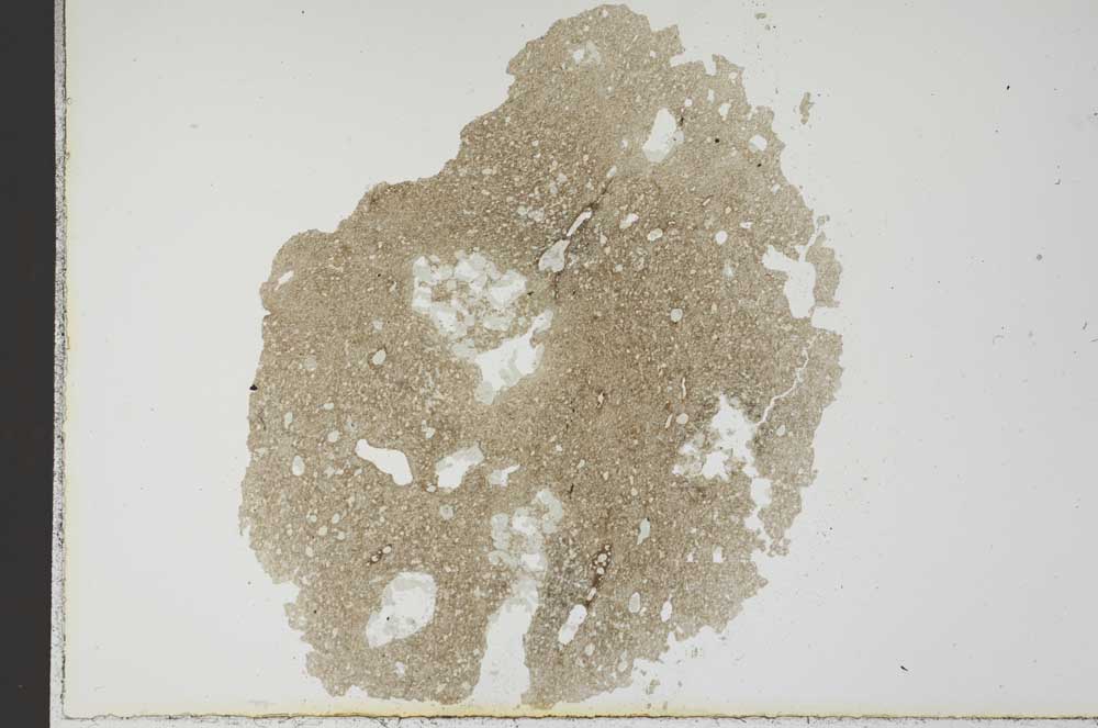 Plane Polarized, S19051