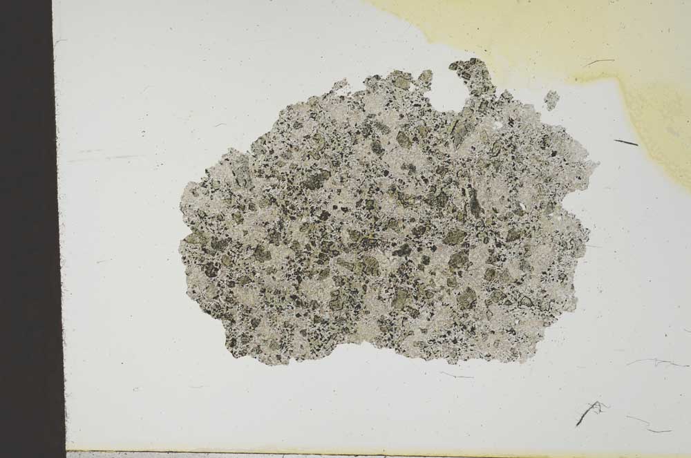 Plane Polarized, S19078