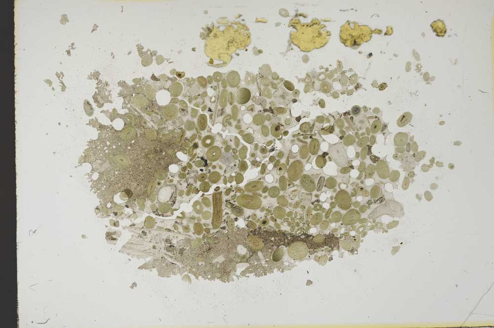 Plane Polarized, S19106