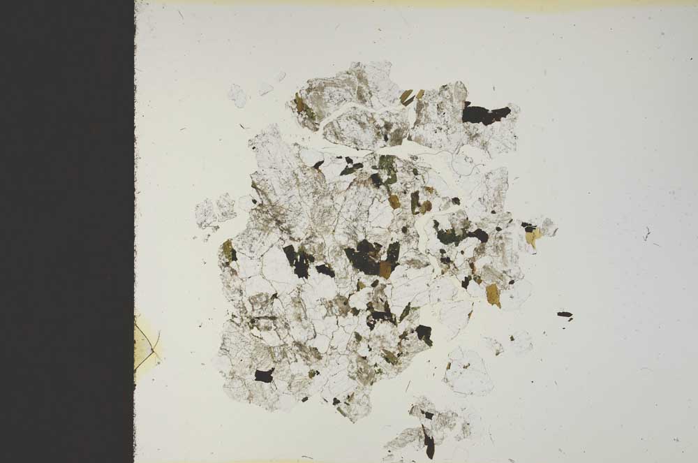 Plane Polarized, S19107