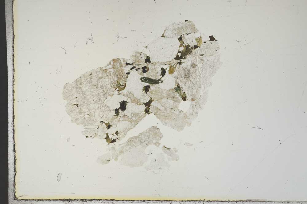 Plane Polarized, S19112