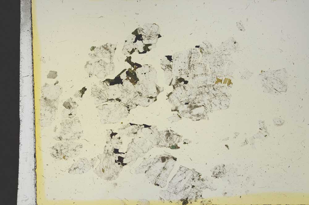 Plane Polarized, S19117
