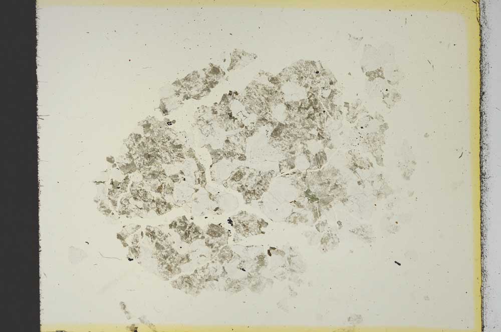 Plane Polarized, S19118