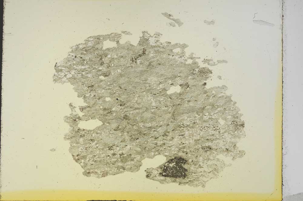 Plane Polarized, S19122