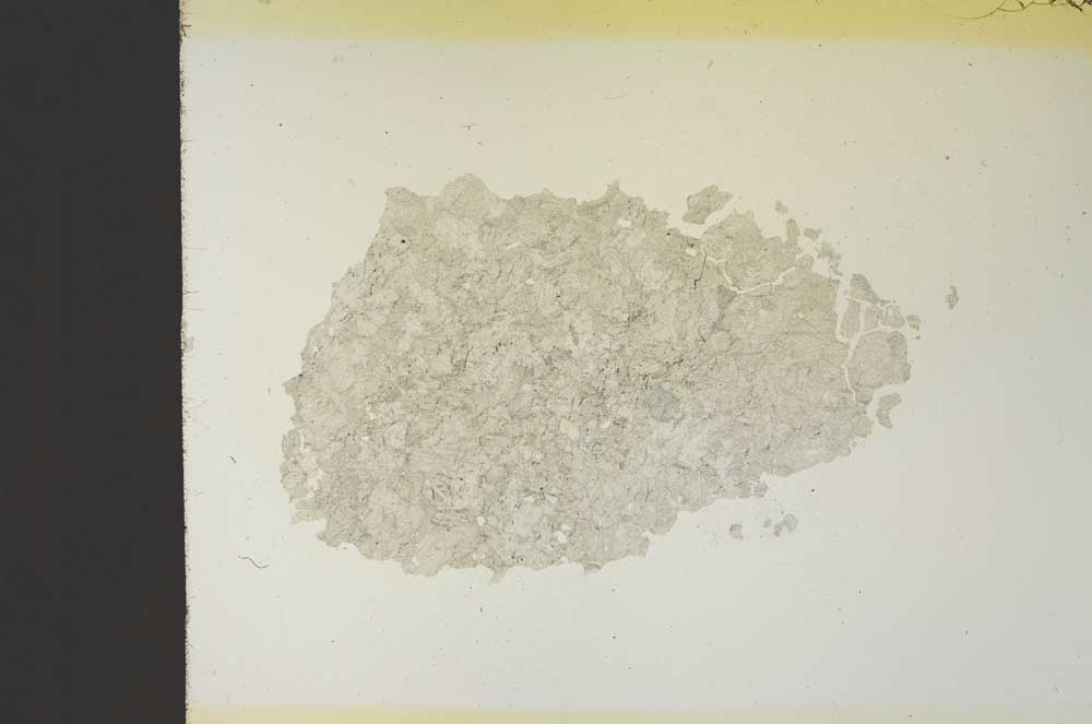 Plane Polarized, S19126