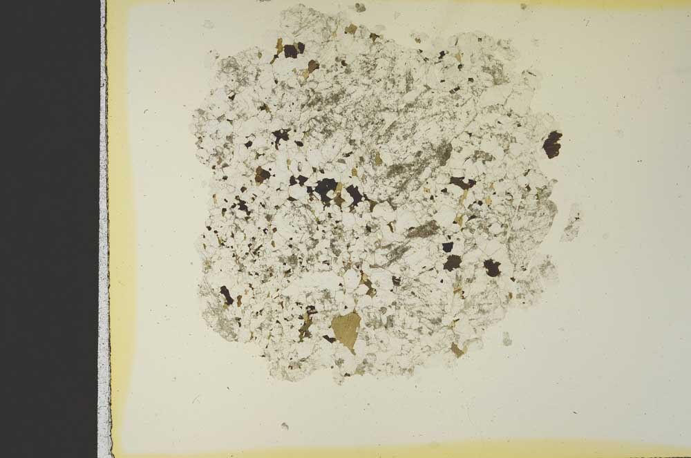 Plane Polarized, S19128