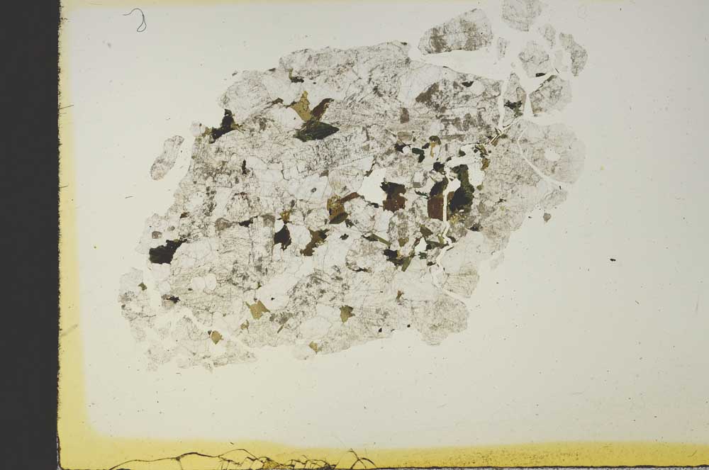 Plane Polarized, S19149