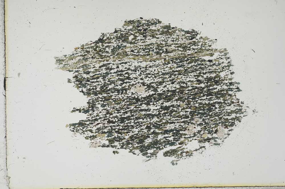 Plane Polarized, S19166