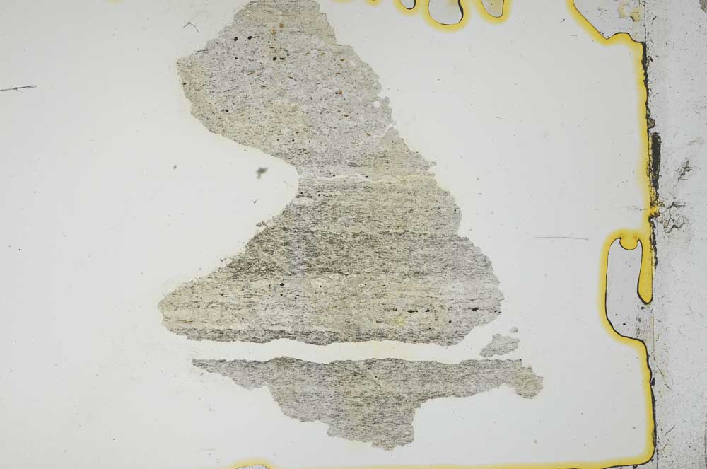 Plane Polarized, S19174