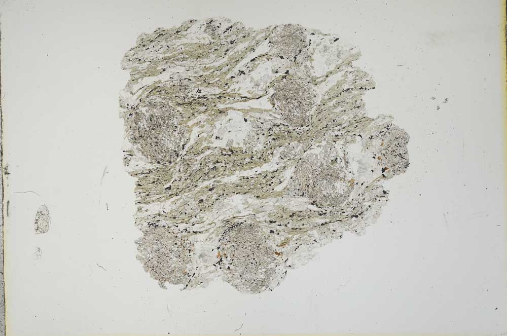 Plane Polarized, S19177