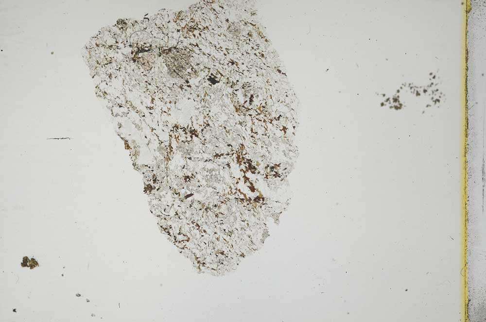 Plane Polarized, S19179