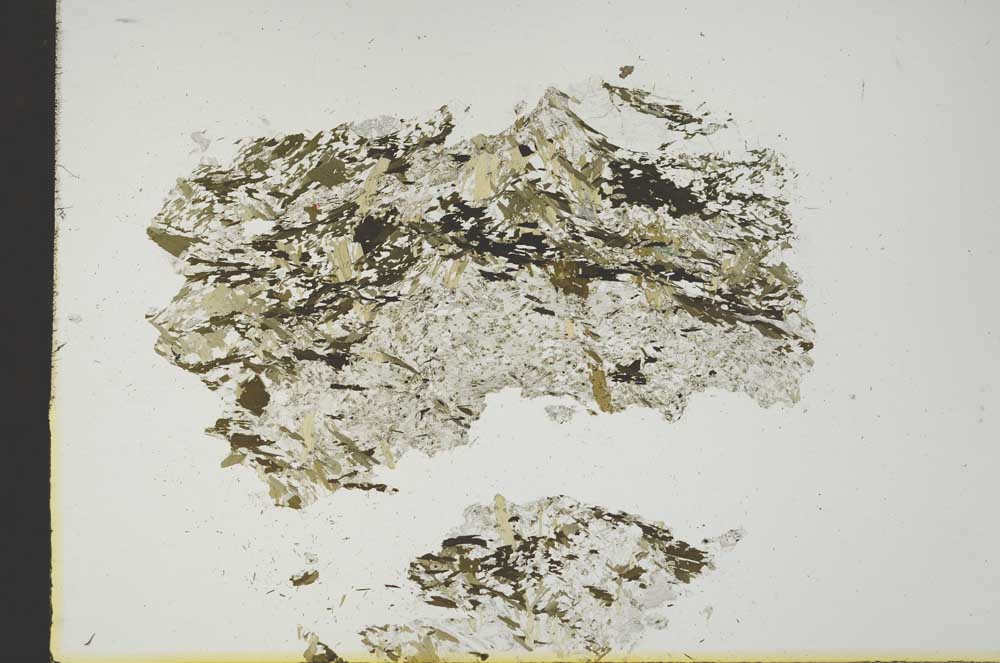 Plane Polarized, S19244