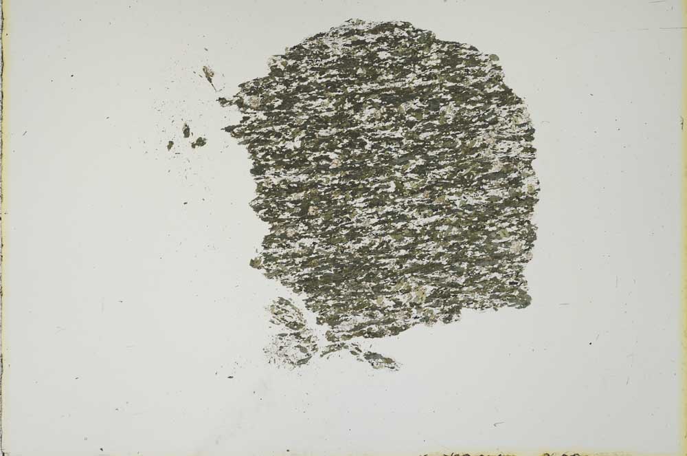 Plane Polarized, S19245