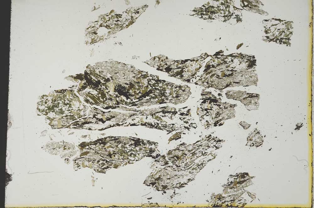 Plane Polarized, S19246