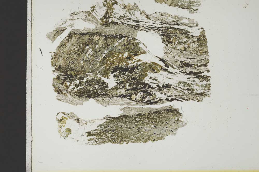 Plane Polarized, S19247