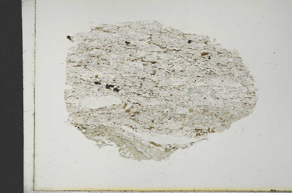 Plane Polarized, S19248