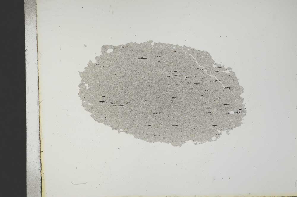 Plane Polarized, S19250