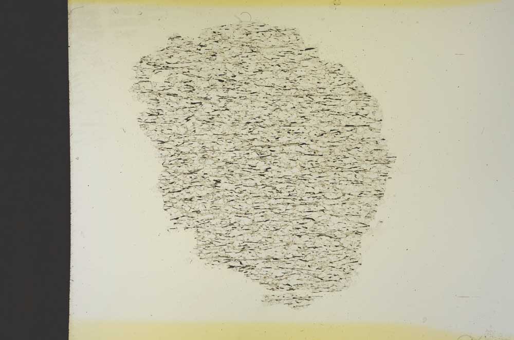 Plane Polarized, S19251/b