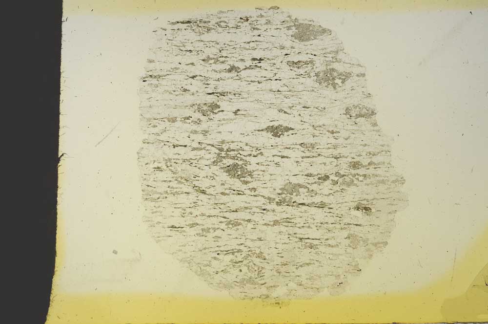 Plane Polarized, S19253