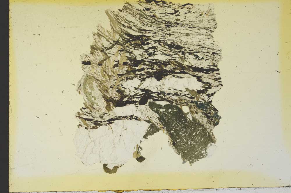 Plane Polarized, S19254