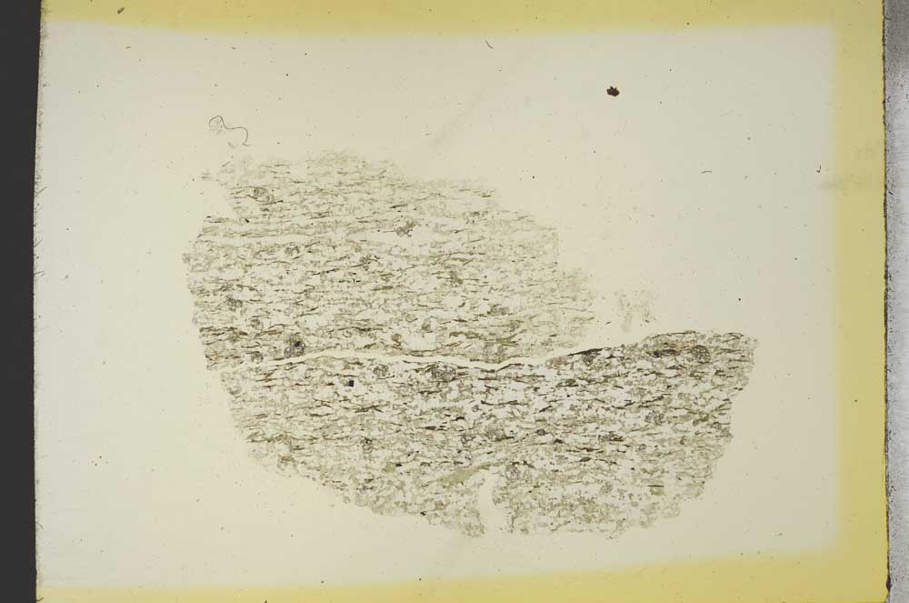 Plane Polarized, S19256