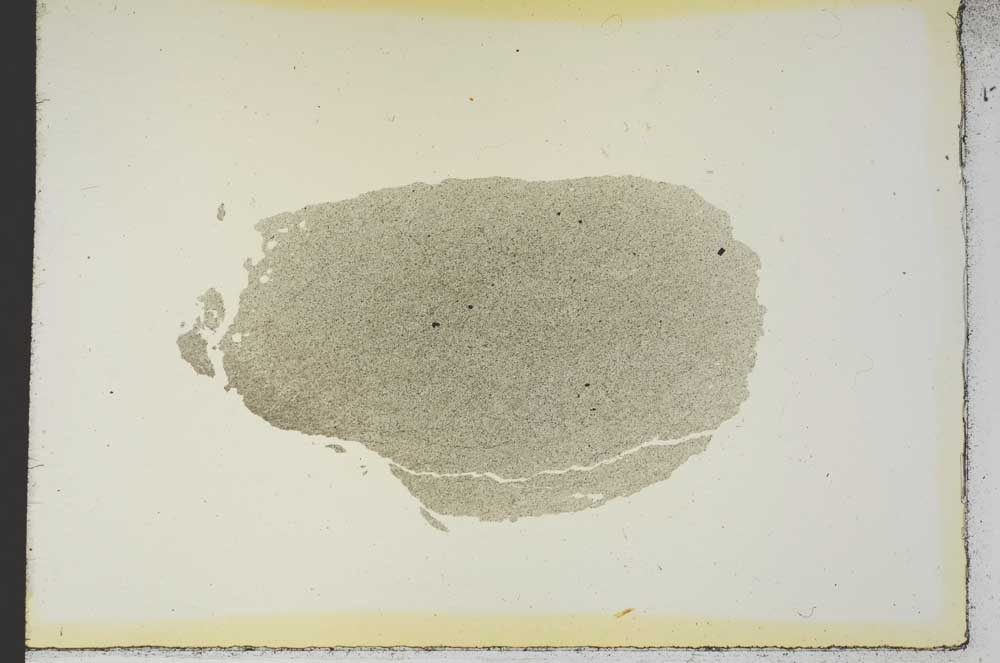 Plane Polarized, S19282