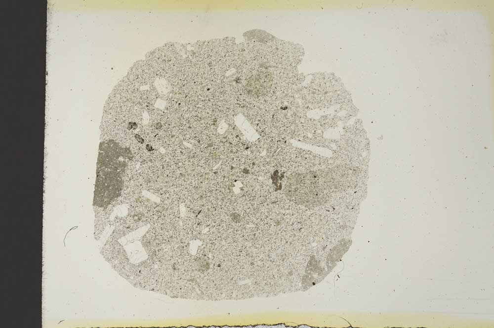 Plane Polarized, S19286