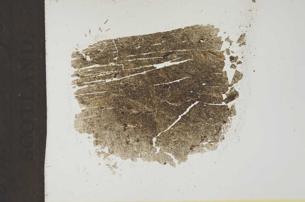 Plane Polarized, S19311