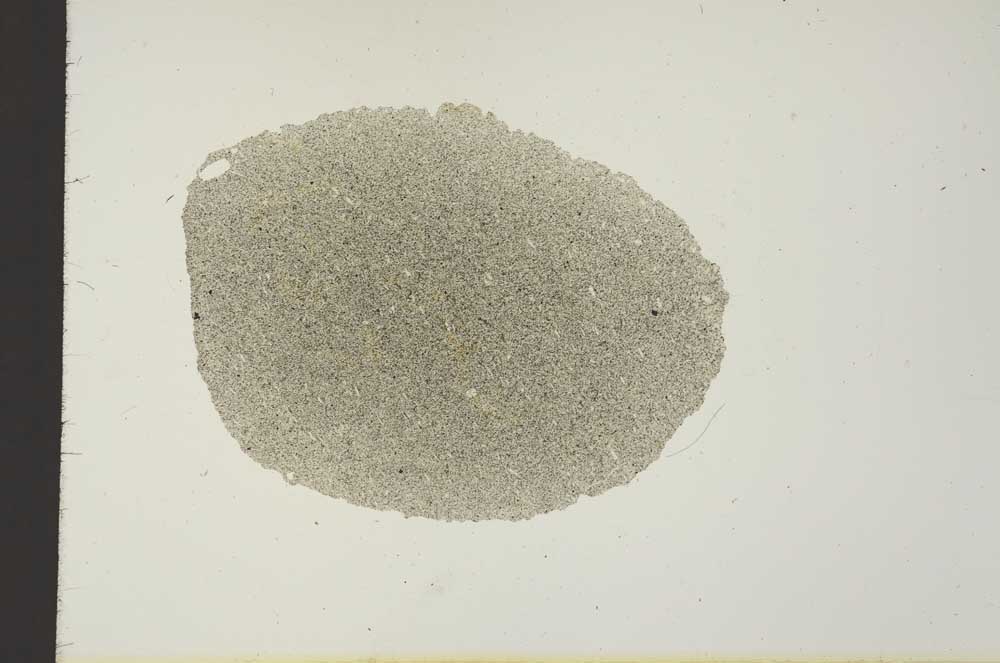 Plane Polarized, S19325