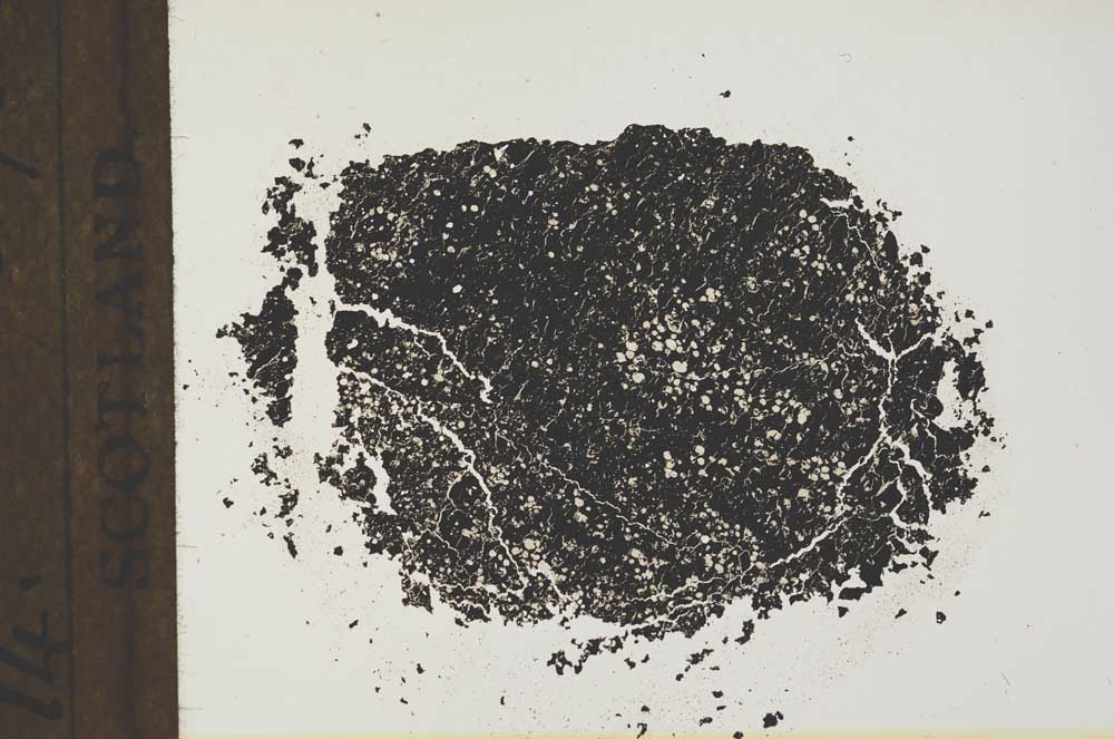 Plane Polarized, S19330