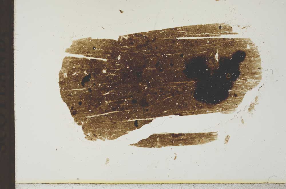 Plane Polarized, S19345