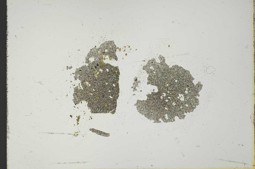 Plane Polarized, S19390