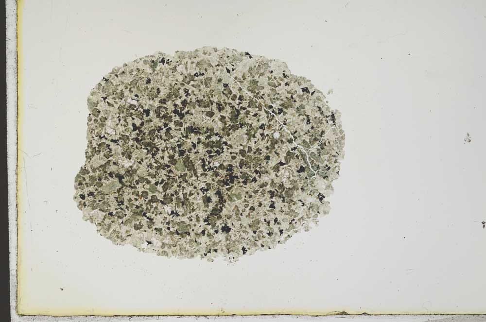 Plane Polarized, S19454