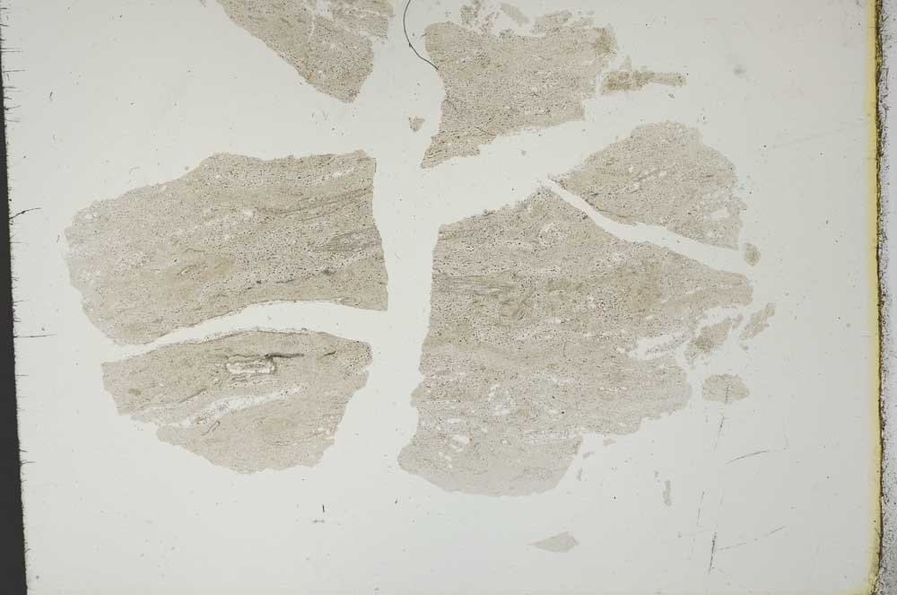 Plane Polarized, S19464